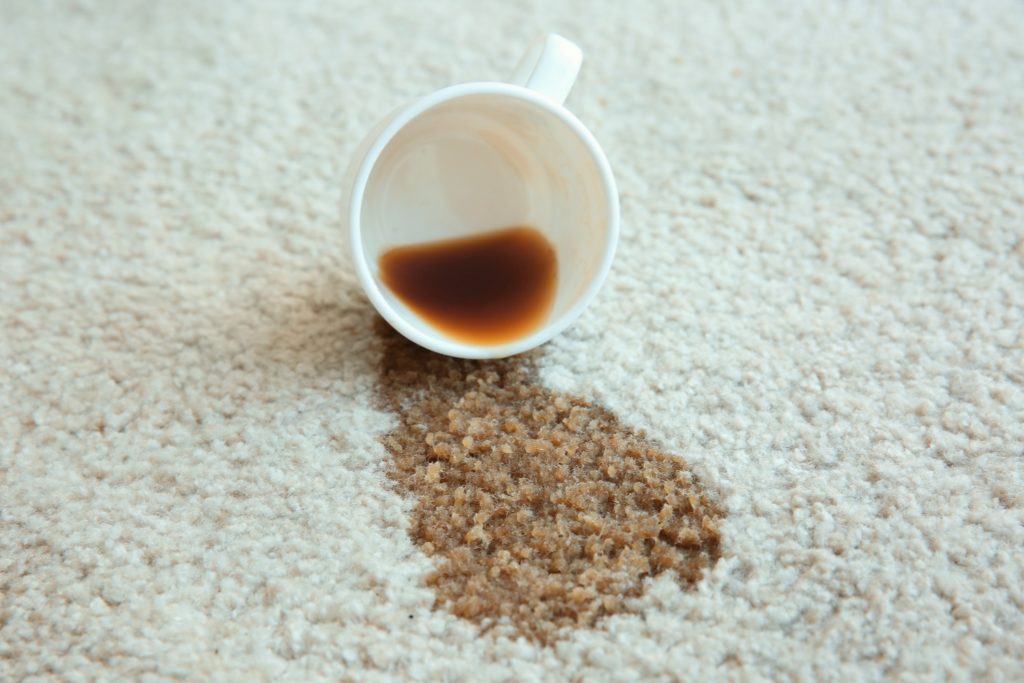 How to Get Coffee Out of Carpet